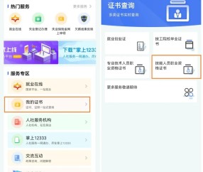 电子护士执业证书查询入口