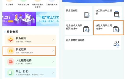 电子护士执业证书查询入口