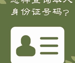 职称证书编号在哪里查