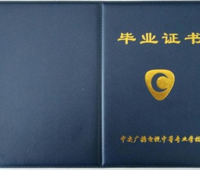 中专证书怎么查询