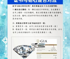学历证书编号在哪里查