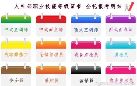 专业办所有证件全网可查