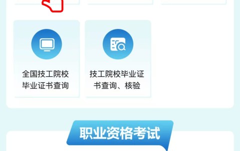 证书办理状态填什么