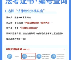 运动员证书编号在哪里查