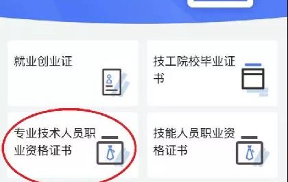 技能证书查询入口