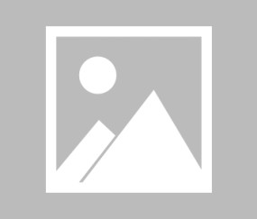 全媒体运营师证书报考官网
