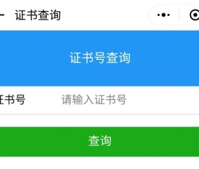 职业技能证书查询网
