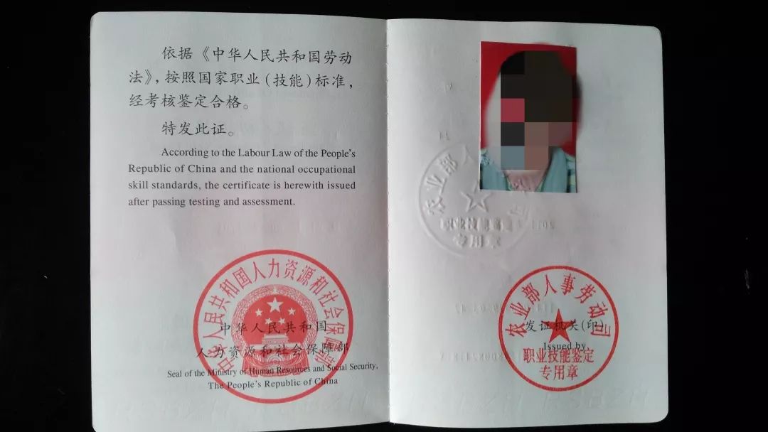 中专证书编号几位数