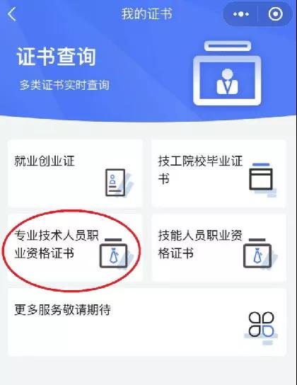 技能证书查询入口