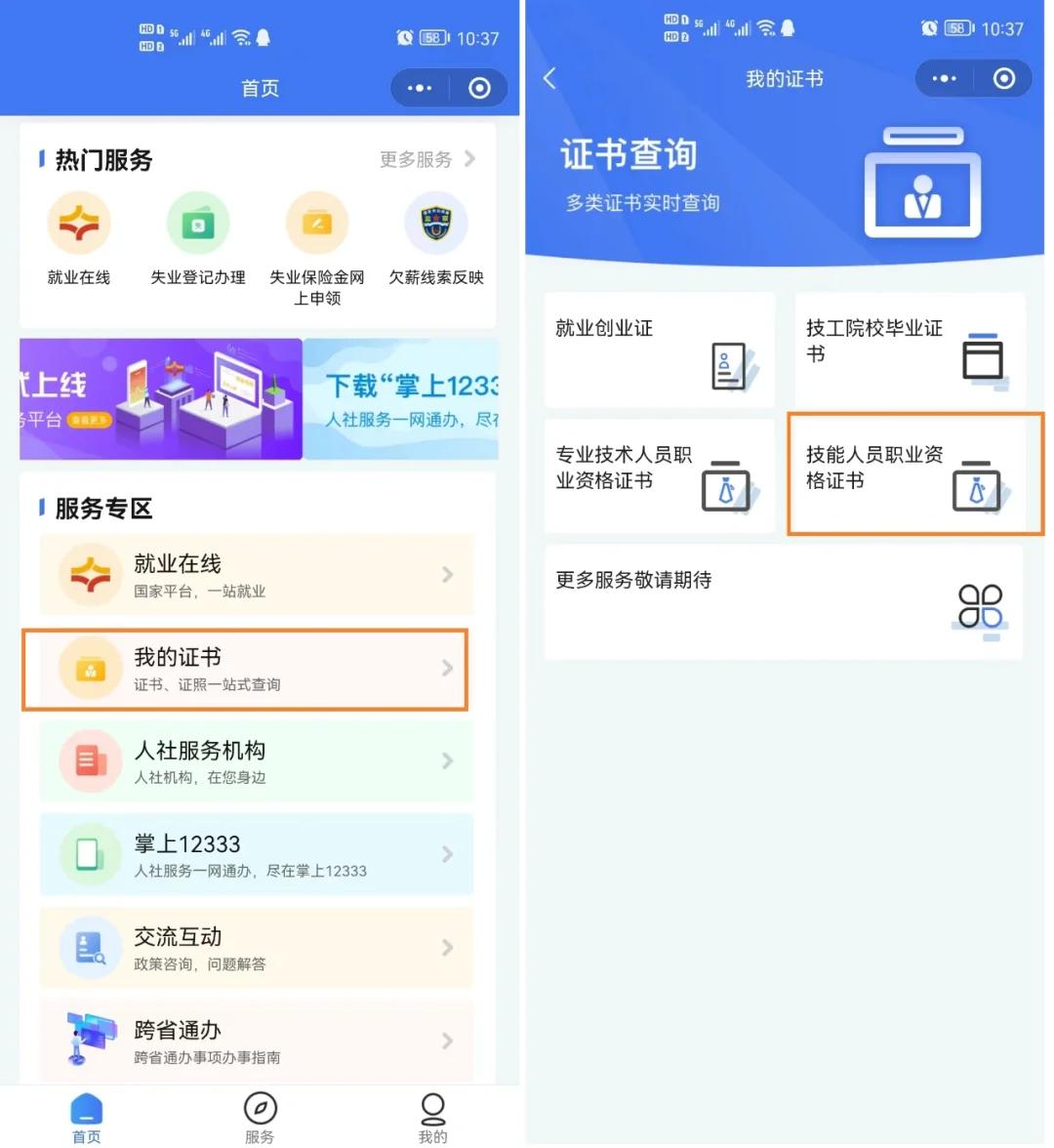 电子护士执业证书查询入口